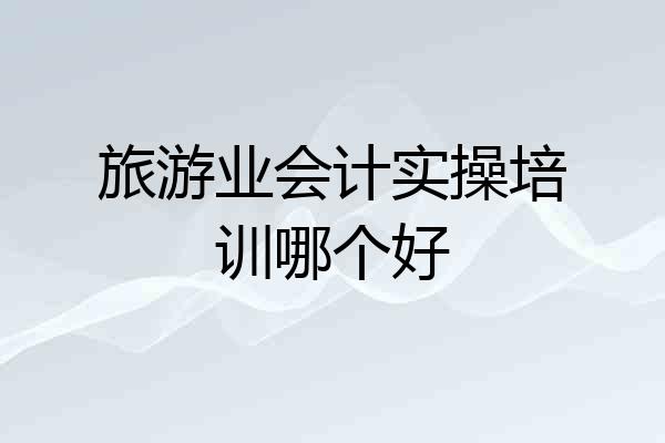 旅游业会计实操培训哪个好