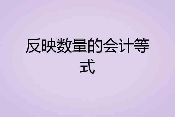 反映数量的会计等式
