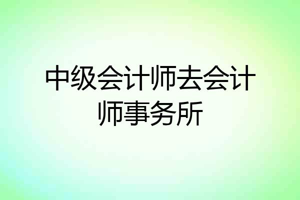 中级会计师去会计师事务所