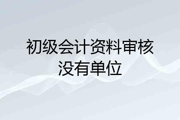 初级会计资料审核没有单位