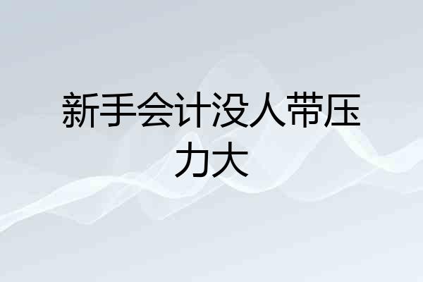 新手会计没人带压力大