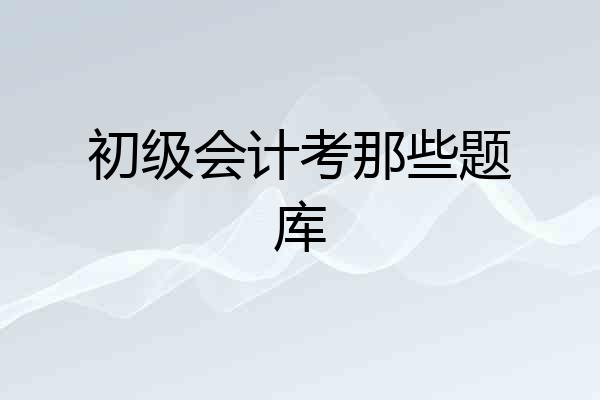 初级会计考那些题库