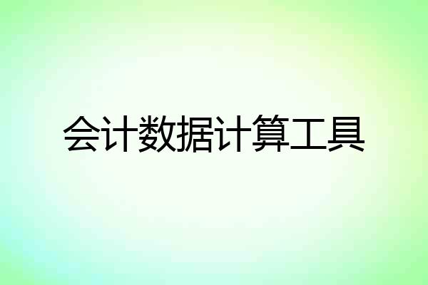 会计数据计算工具