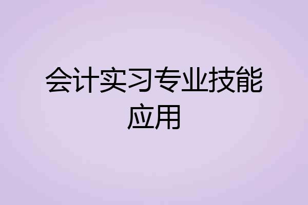 会计实习专业技能应用