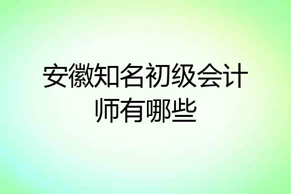 安徽知名初级会计师有哪些