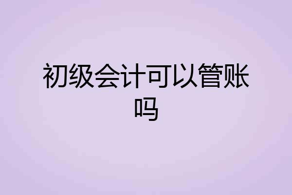 初级会计可以管账吗