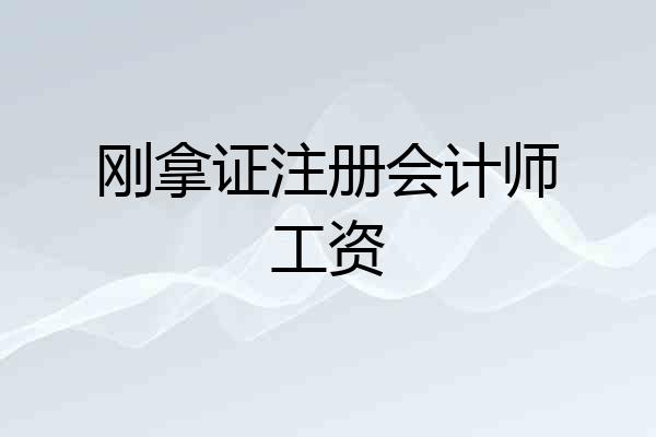 刚拿证注册会计师工资
