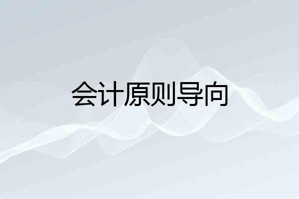 会计原则导向