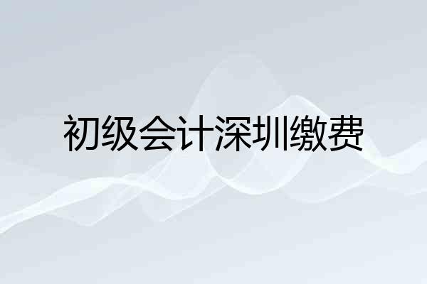 初级会计深圳缴费