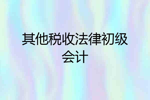 其他税收法律初级会计