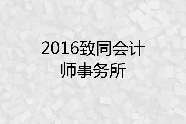 2016致同会计师事务所