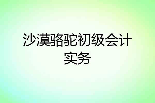 沙漠骆驼初级会计实务