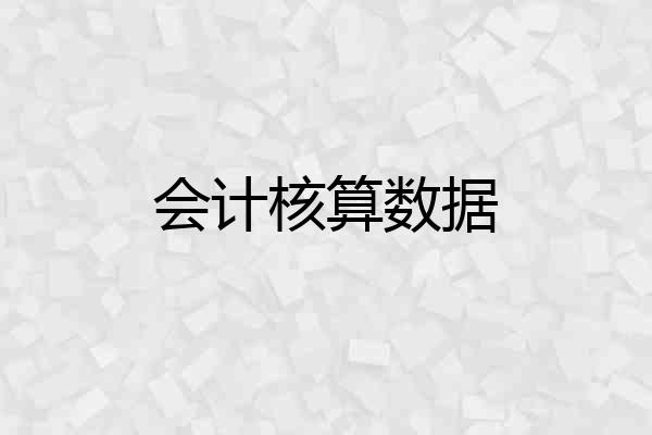 会计核算数据