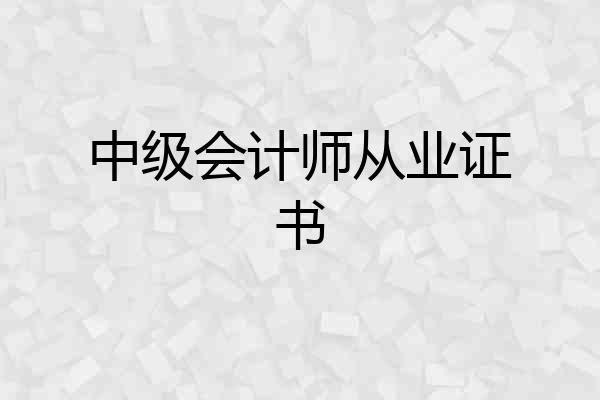 中级会计师从业证书