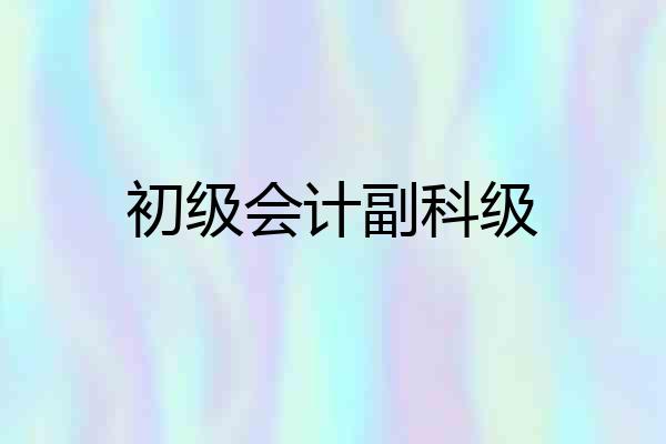 初级会计副科级