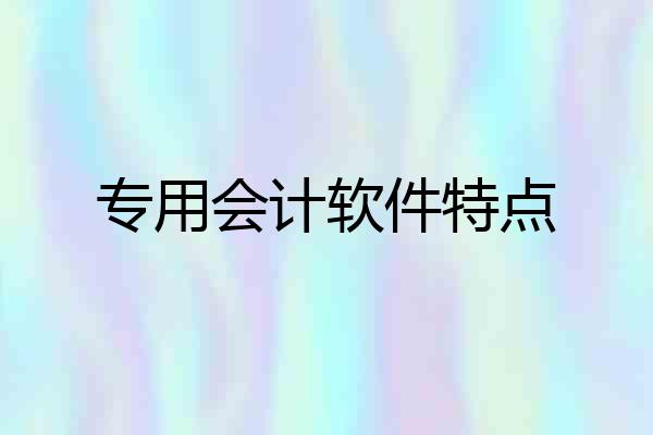 专用会计软件特点