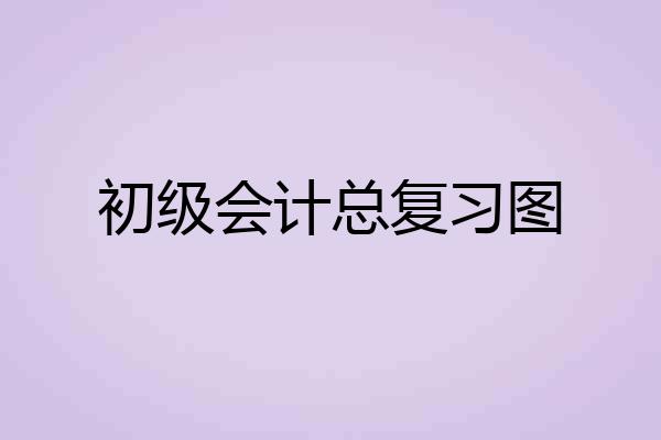 初级会计总复习图