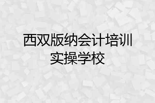 西双版纳会计培训实操学校