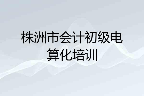 株洲市会计初级电算化培训