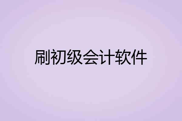 刷初级会计软件