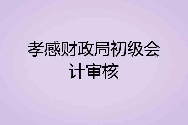 孝感财政局初级会计审核