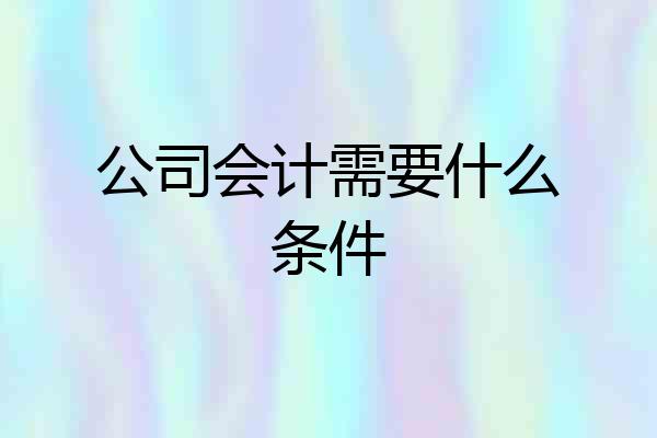 公司会计需要什么条件