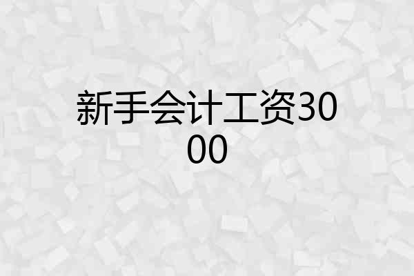 新手会计工资3000