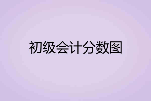 初级会计分数图