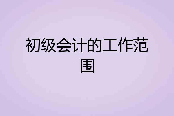 初级会计的工作范围