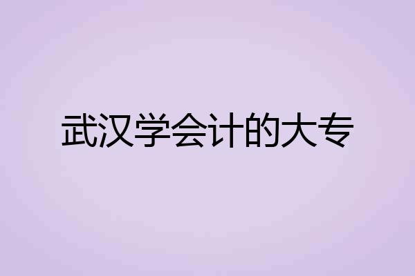 武汉学会计的大专