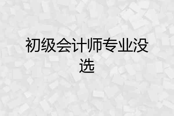 初级会计师专业没选