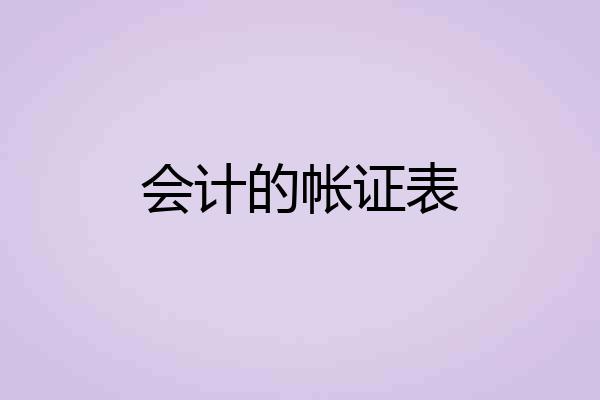 会计的帐证表