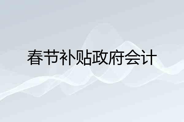 春节补贴政府会计
