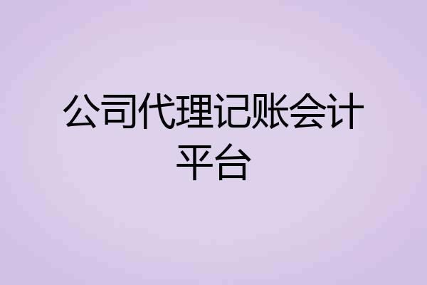公司代理记账会计平台