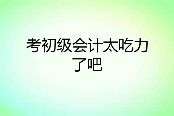 考初级会计太吃力了吧