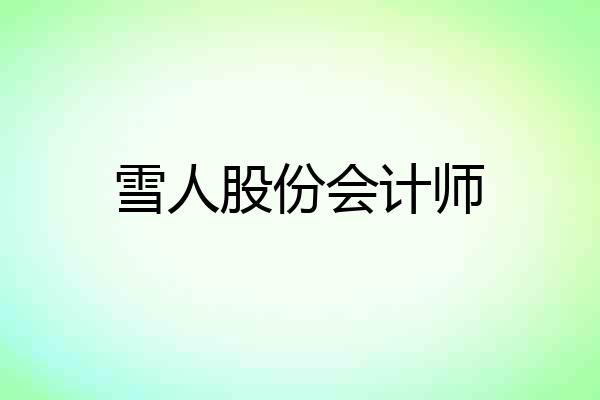 雪人股份会计师