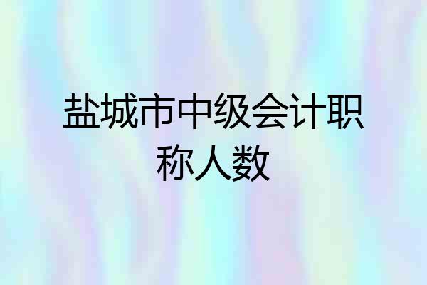 盐城市中级会计职称人数