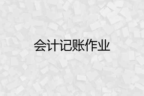 会计记账作业