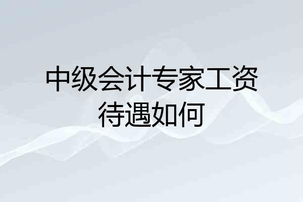 中级会计专家工资待遇如何
