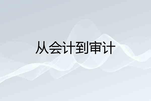 从会计到审计