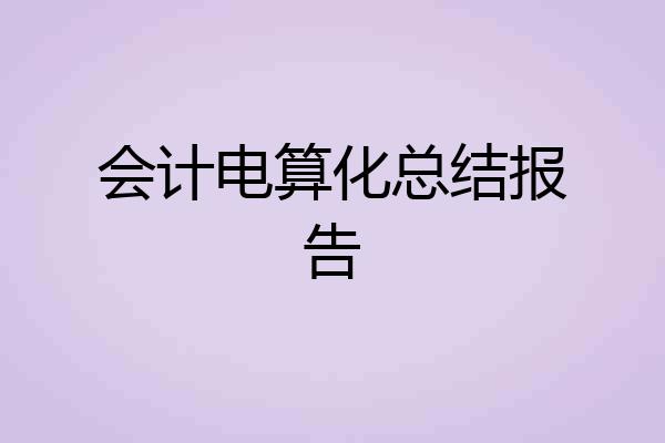 会计电算化总结报告
