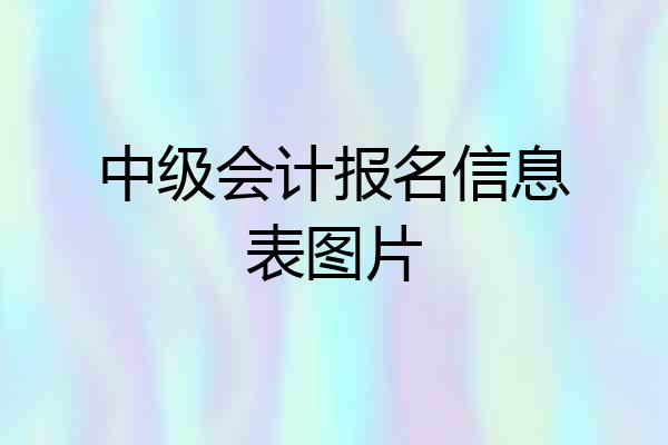 中级会计报名信息表图片