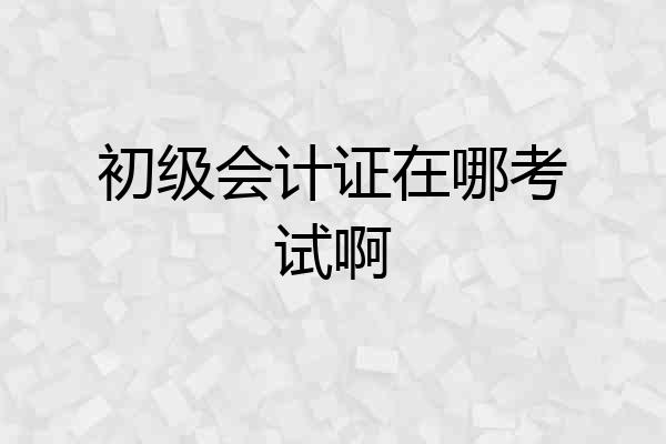 初级会计证在哪考试啊