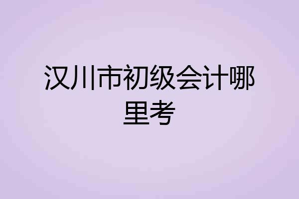 汉川市初级会计哪里考