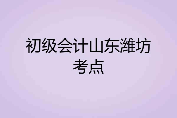 初级会计山东潍坊考点