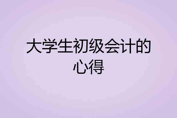 大学生初级会计的心得
