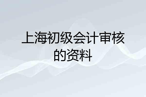 上海初级会计审核的资料