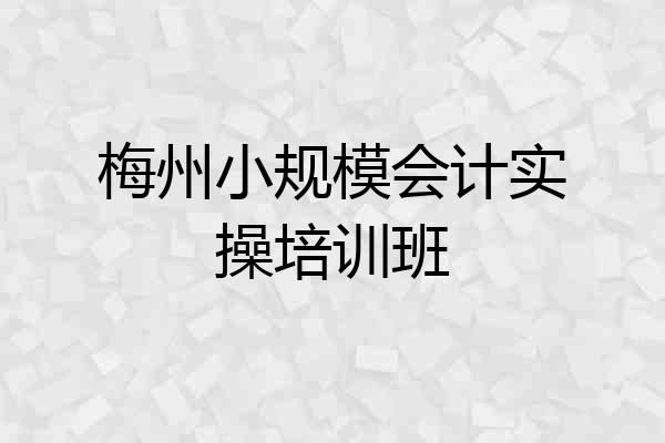 梅州小规模会计实操培训班