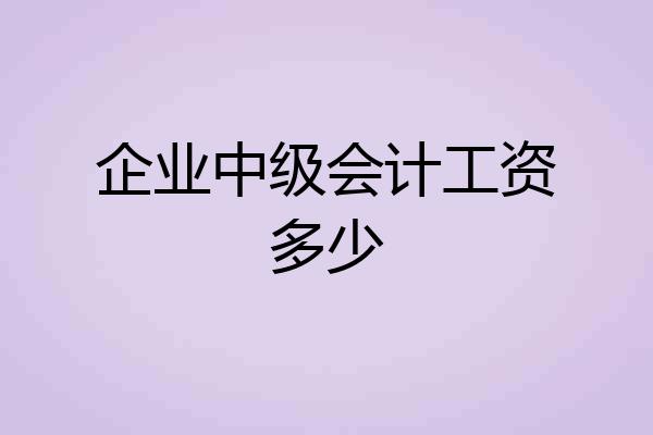 企业中级会计工资多少