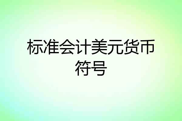 标准会计美元货币符号